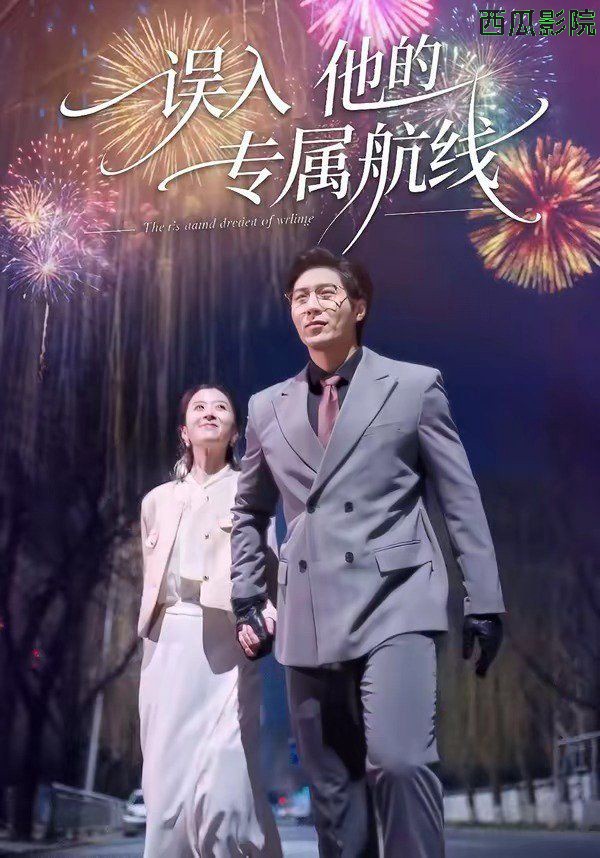 误入他的专属航