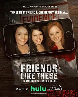 像他们这样的朋友 斯凯拉·尼斯的谋杀案