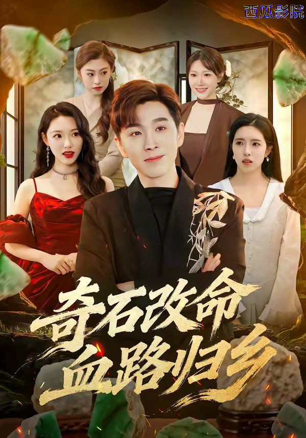 奇石改命血路归乡